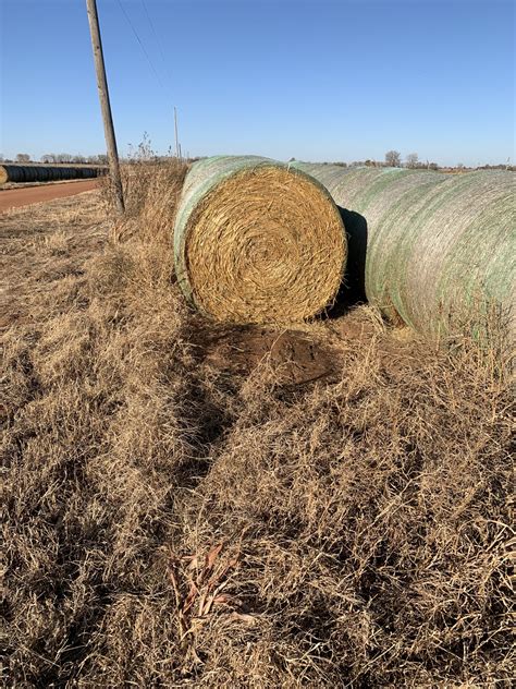 For example, according to the Internet Hay Exchange website, the price of hay is around 124 per ton, while for the Alfalfa hay you will have to pay around 211 per ton. . Hay for sale oklahoma